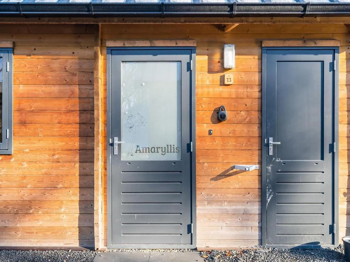 Cosy Wooden House Amid Woods In Soesterberg Utrecht 0*,